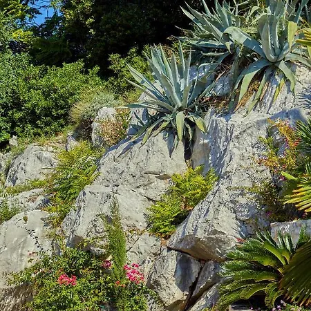 House Agave Dubrovník
